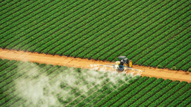 Best Ant Control Services  in Medina, TX