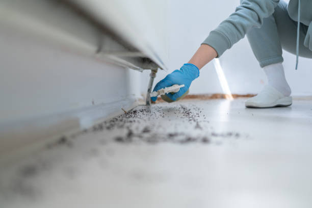 Pest Prevention Services in Medina, TX